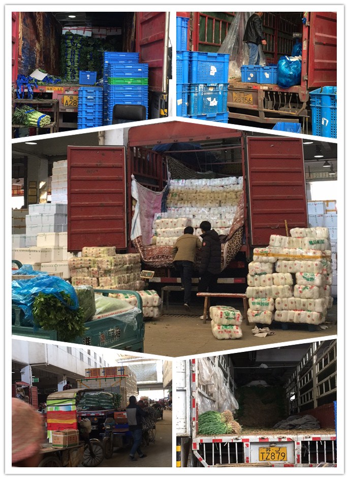 PA视讯(中国)集团官网 - PlayAce