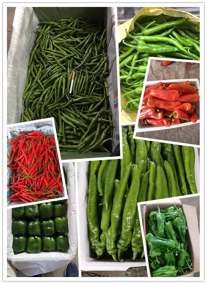 PA视讯(中国)集团官网 - PlayAce