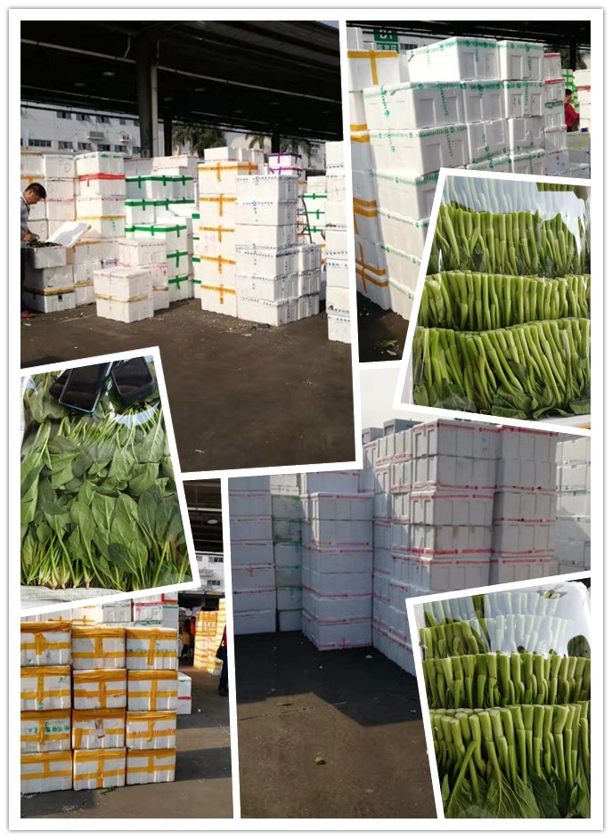 PA视讯(中国)集团官网 - PlayAce