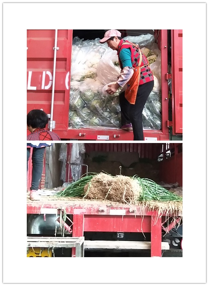 PA视讯(中国)集团官网 - PlayAce