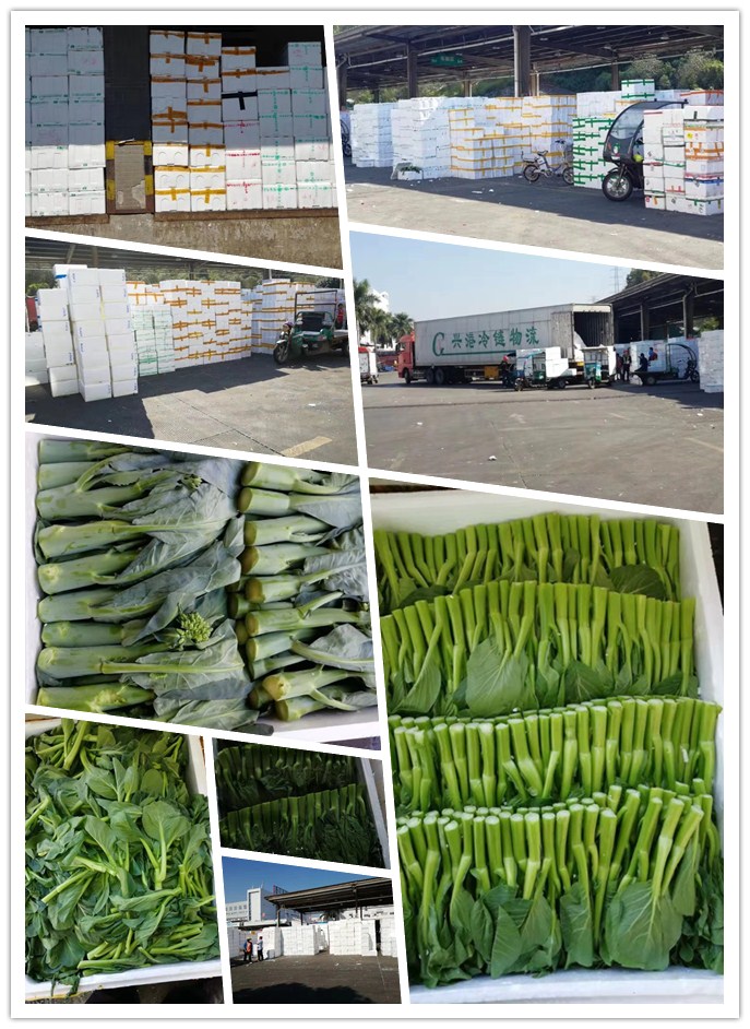 PA视讯(中国)集团官网 - PlayAce