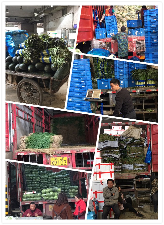 PA视讯(中国)集团官网 - PlayAce