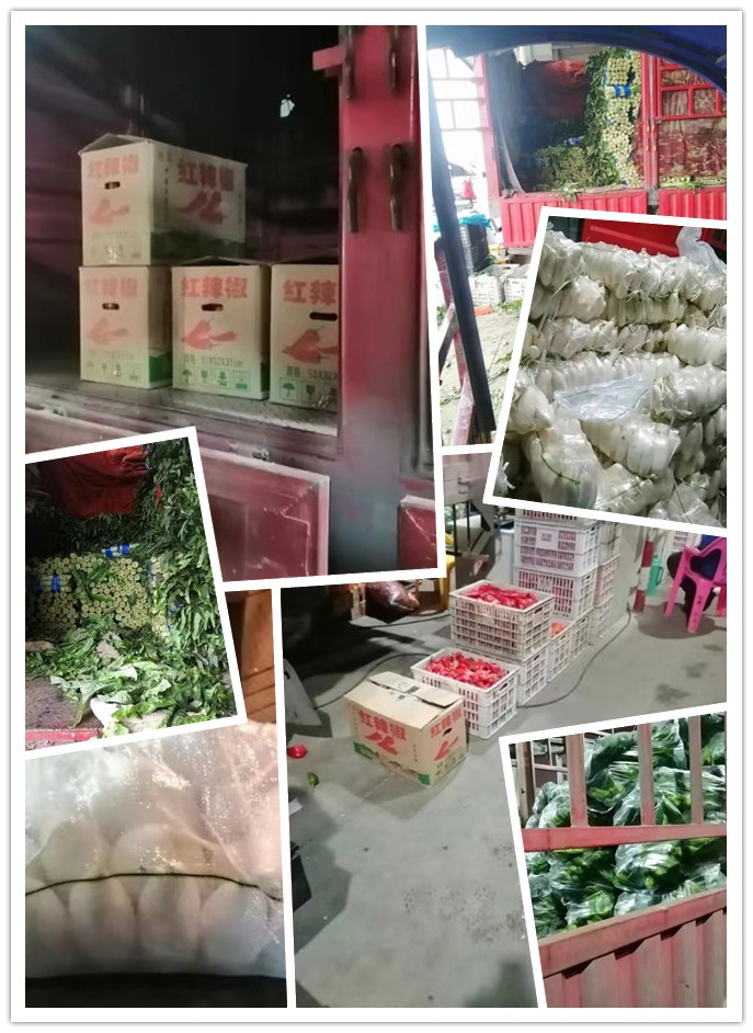 PA视讯(中国)集团官网 - PlayAce