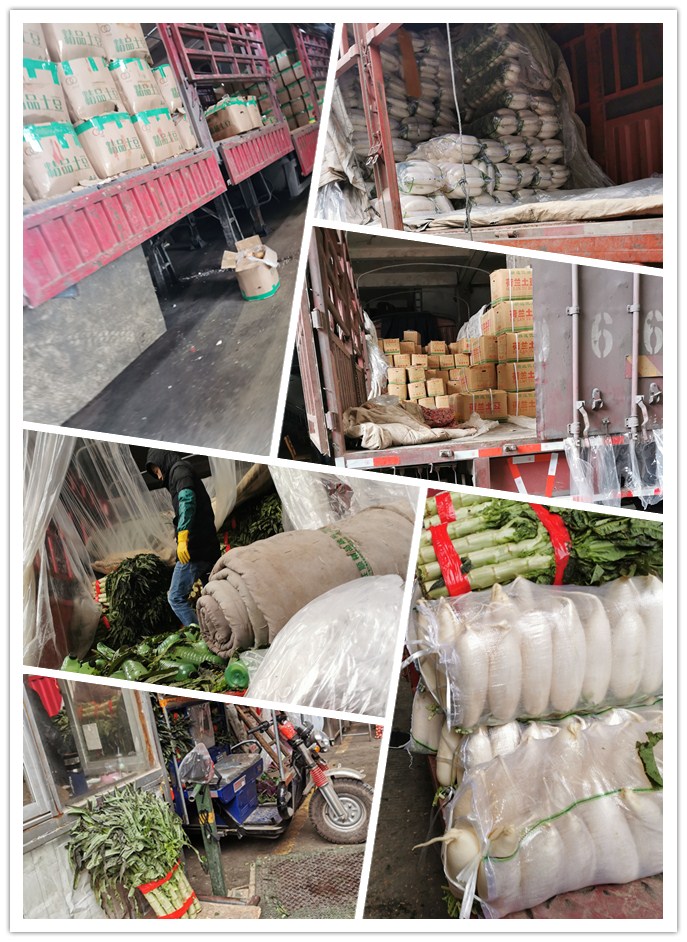 PA视讯(中国)集团官网 - PlayAce