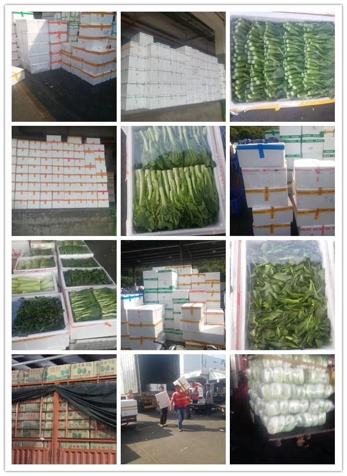 PA视讯(中国)集团官网 - PlayAce