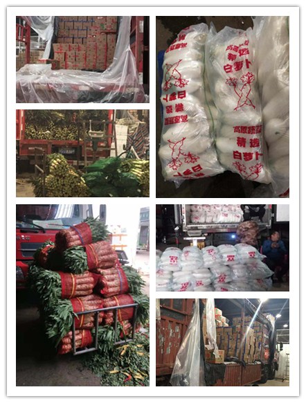 PA视讯(中国)集团官网 - PlayAce