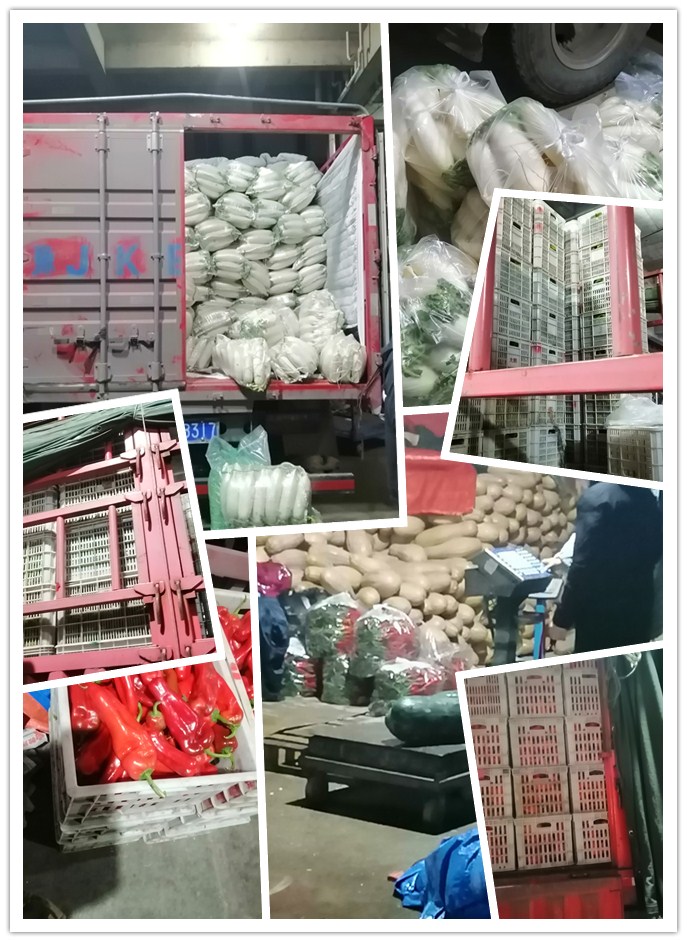 PA视讯(中国)集团官网 - PlayAce