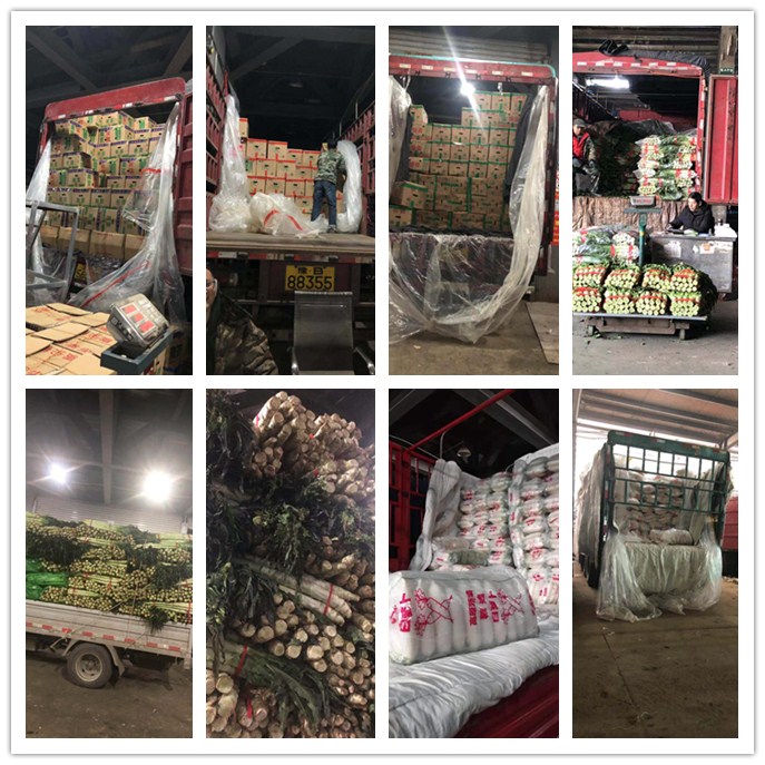 PA视讯(中国)集团官网 - PlayAce