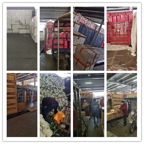 PA视讯(中国)集团官网 - PlayAce