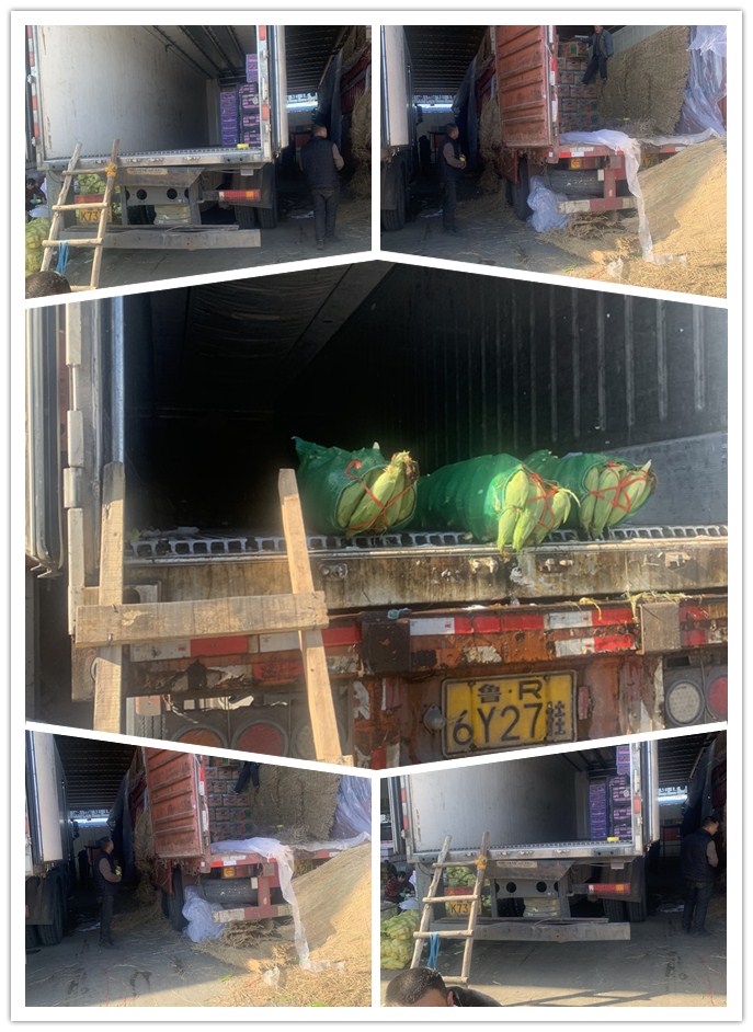 PA视讯(中国)集团官网 - PlayAce