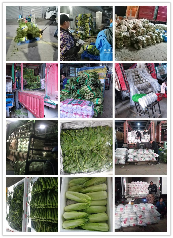 PA视讯(中国)集团官网 - PlayAce