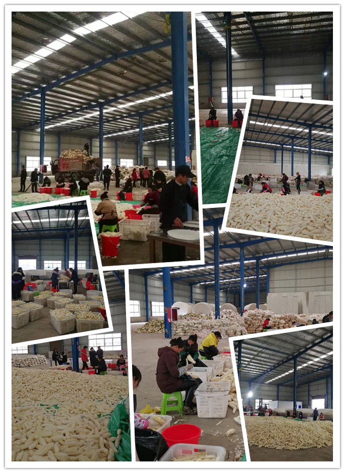 PA视讯(中国)集团官网 - PlayAce