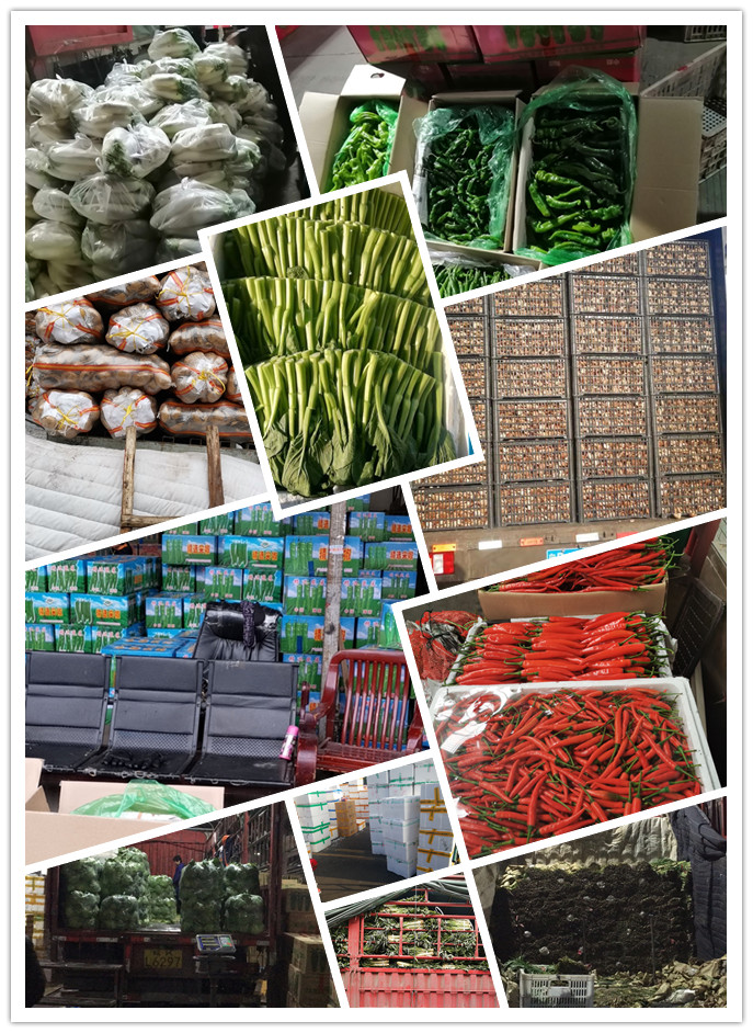 PA视讯(中国)集团官网 - PlayAce