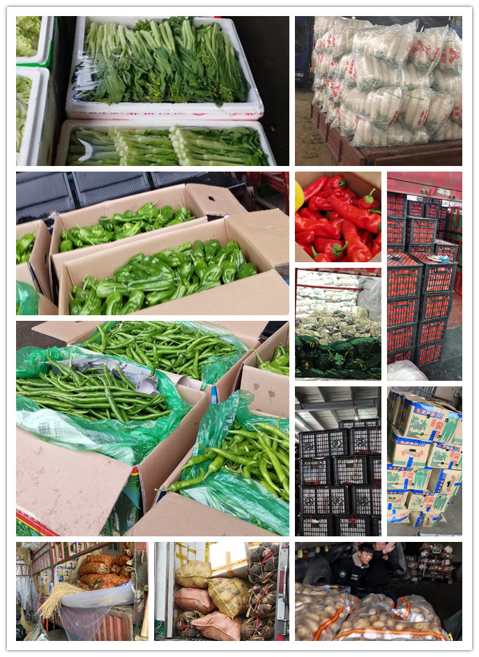 PA视讯(中国)集团官网 - PlayAce