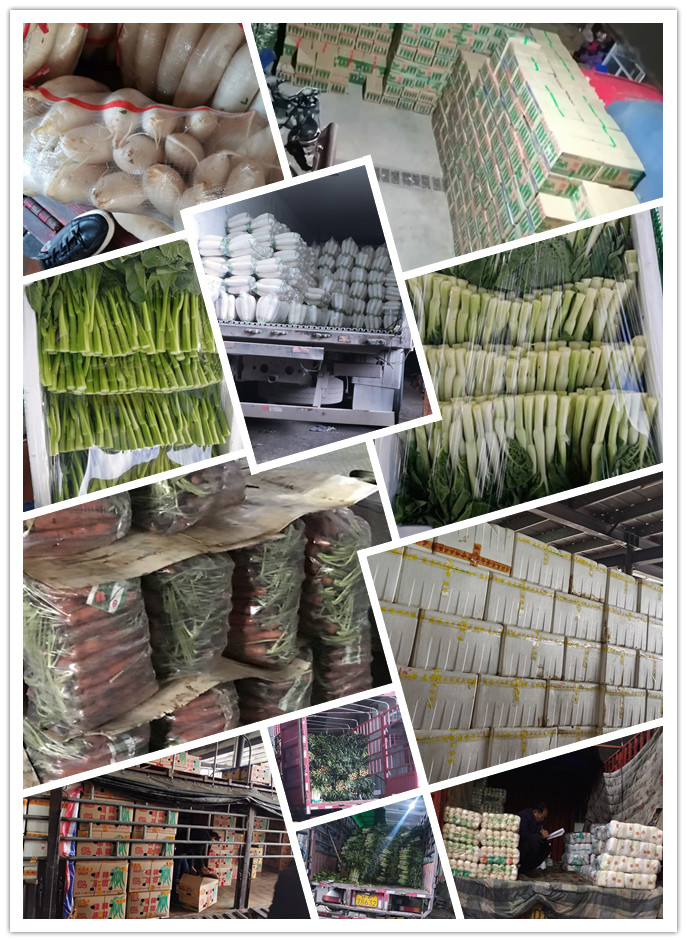 PA视讯(中国)集团官网 - PlayAce