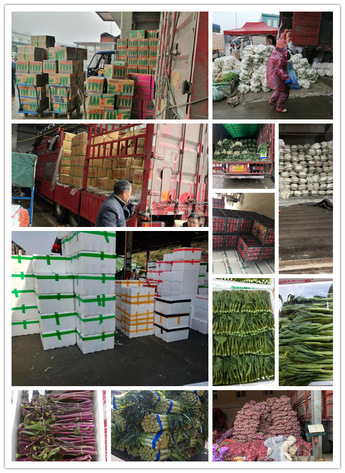 PA视讯(中国)集团官网 - PlayAce