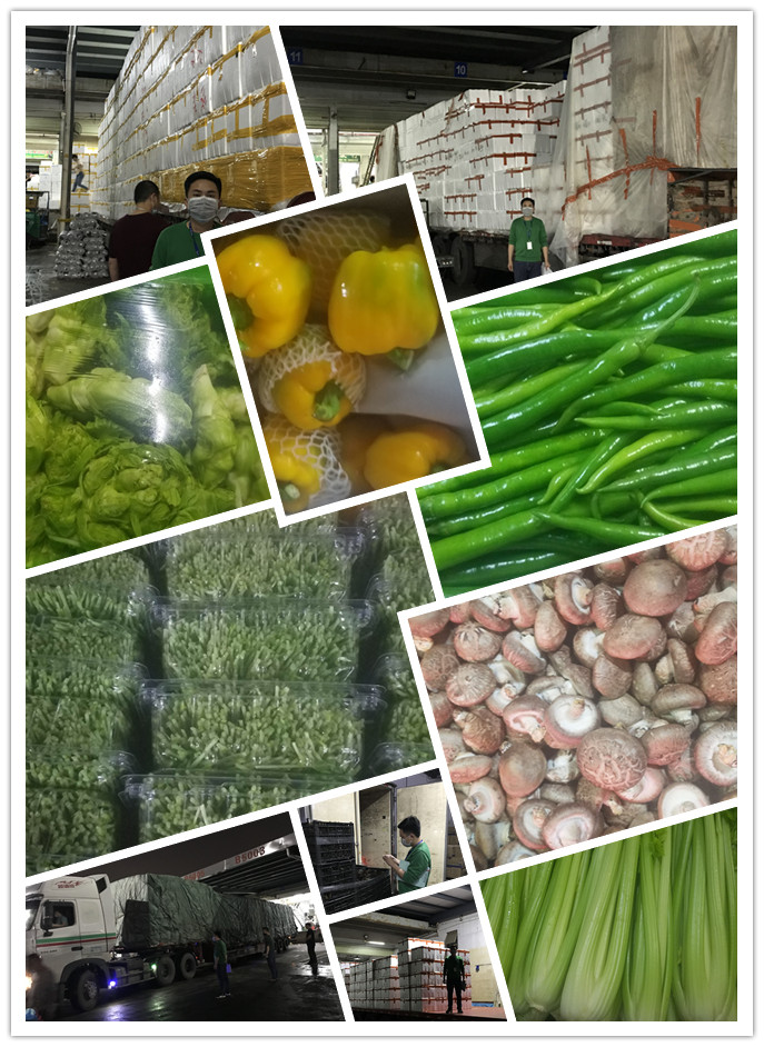 PA视讯(中国)集团官网 - PlayAce