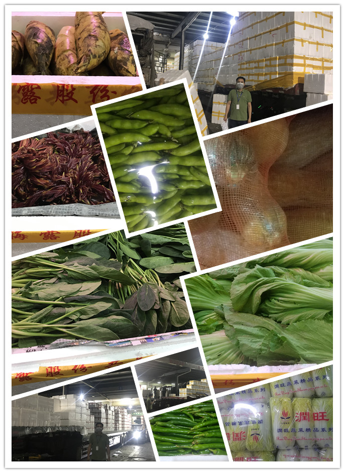 PA视讯(中国)集团官网 - PlayAce