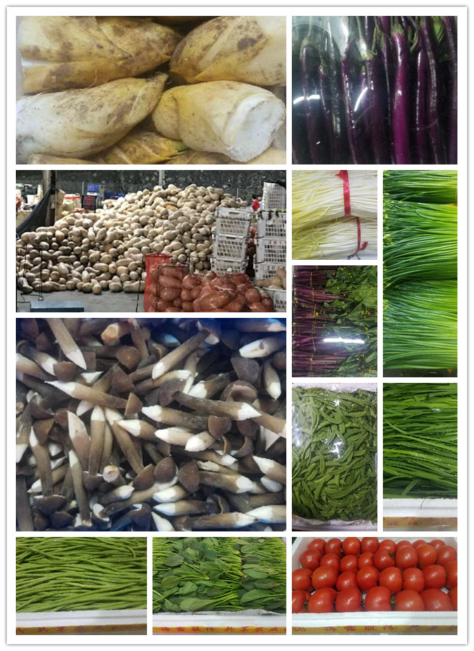 PA视讯(中国)集团官网 - PlayAce