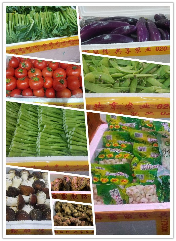 PA视讯(中国)集团官网 - PlayAce