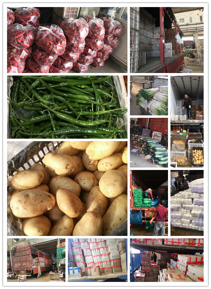 PA视讯(中国)集团官网 - PlayAce