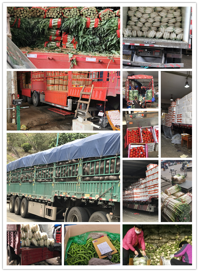 PA视讯(中国)集团官网 - PlayAce