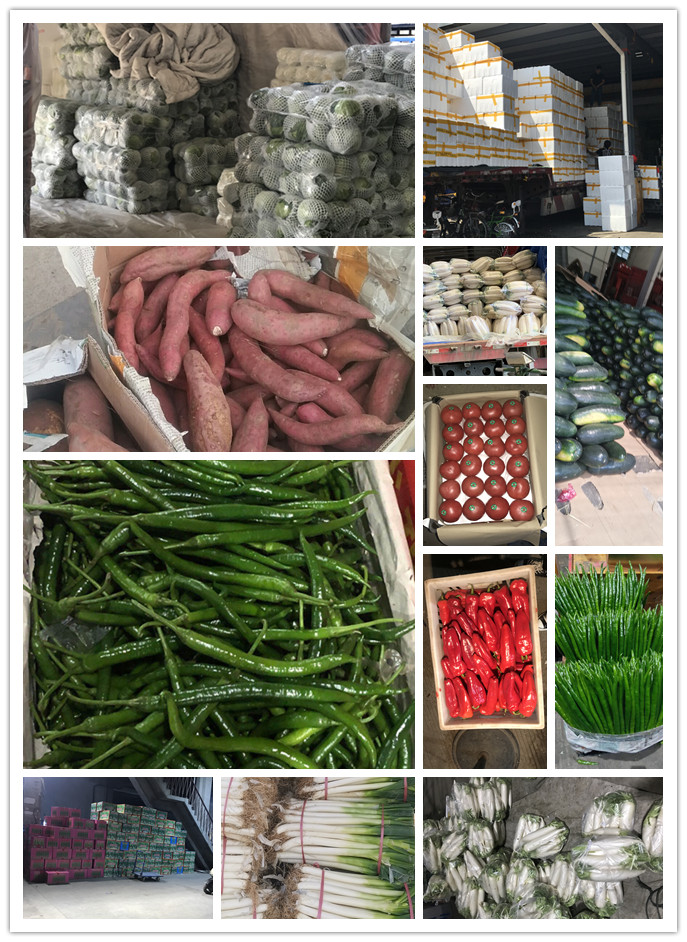 PA视讯(中国)集团官网 - PlayAce