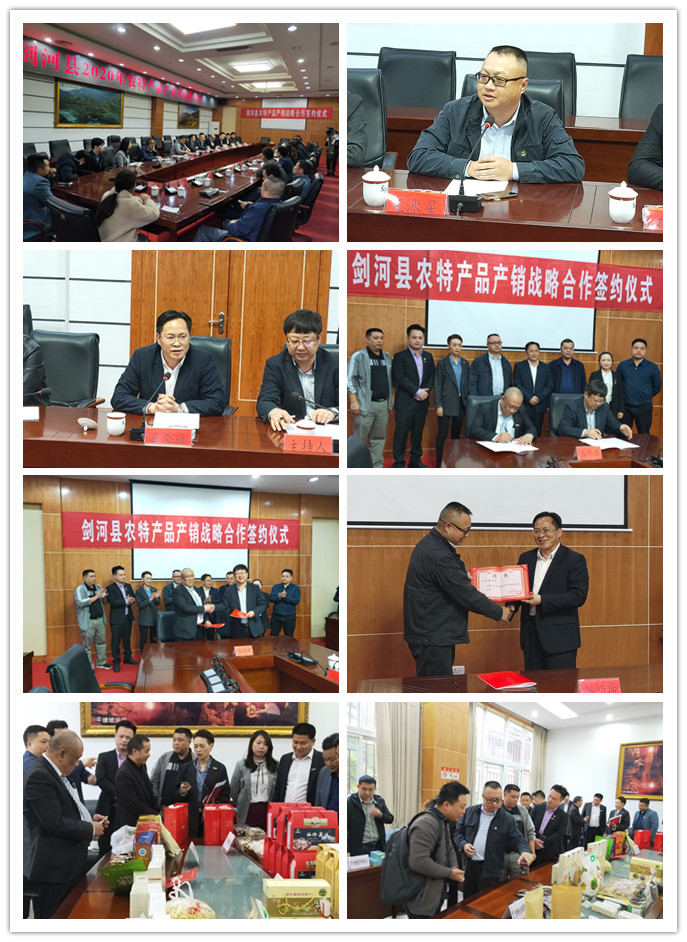 PA视讯(中国)集团官网 - PlayAce