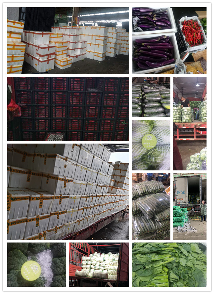 PA视讯(中国)集团官网 - PlayAce