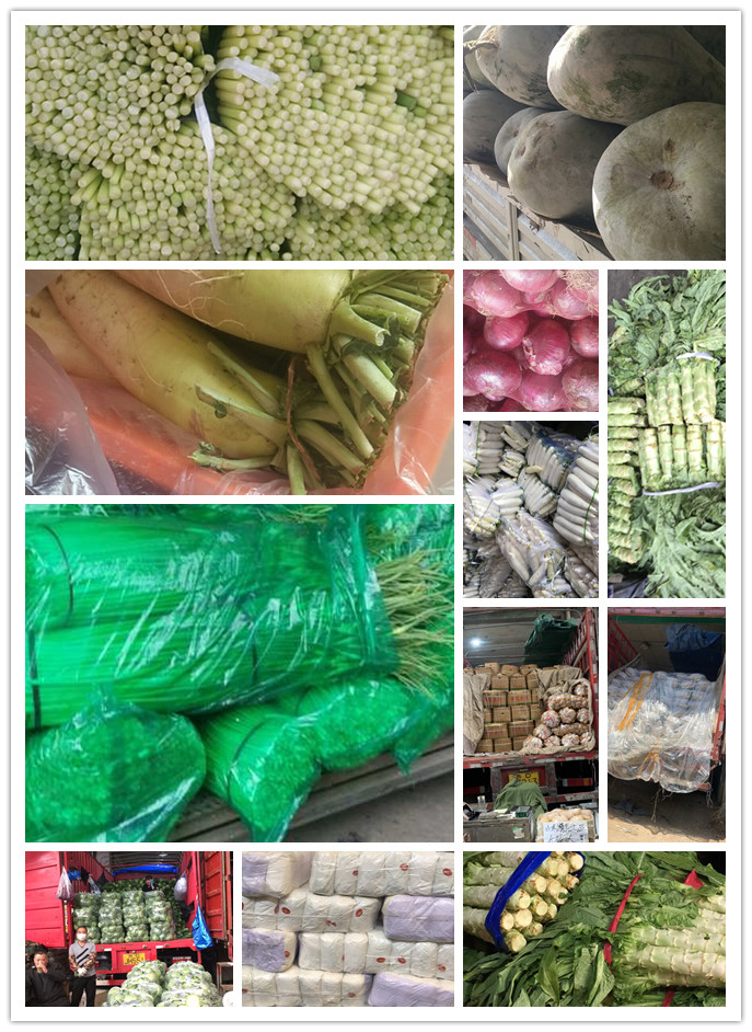 PA视讯(中国)集团官网 - PlayAce