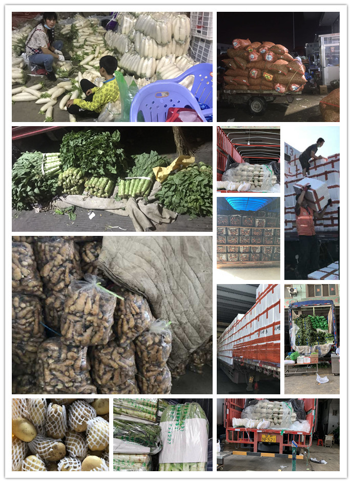 PA视讯(中国)集团官网 - PlayAce