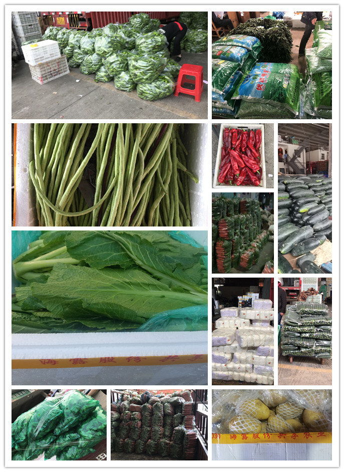 PA视讯(中国)集团官网 - PlayAce