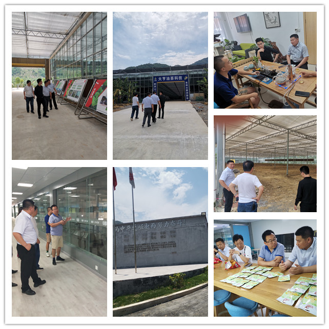 PA视讯(中国)集团官网 - PlayAce