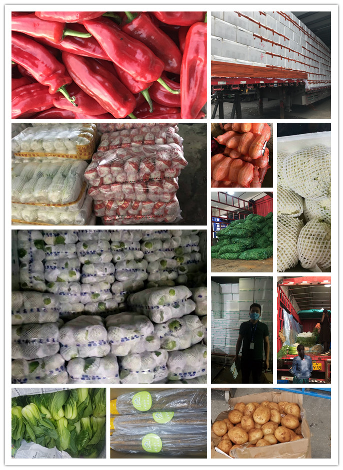 PA视讯(中国)集团官网 - PlayAce