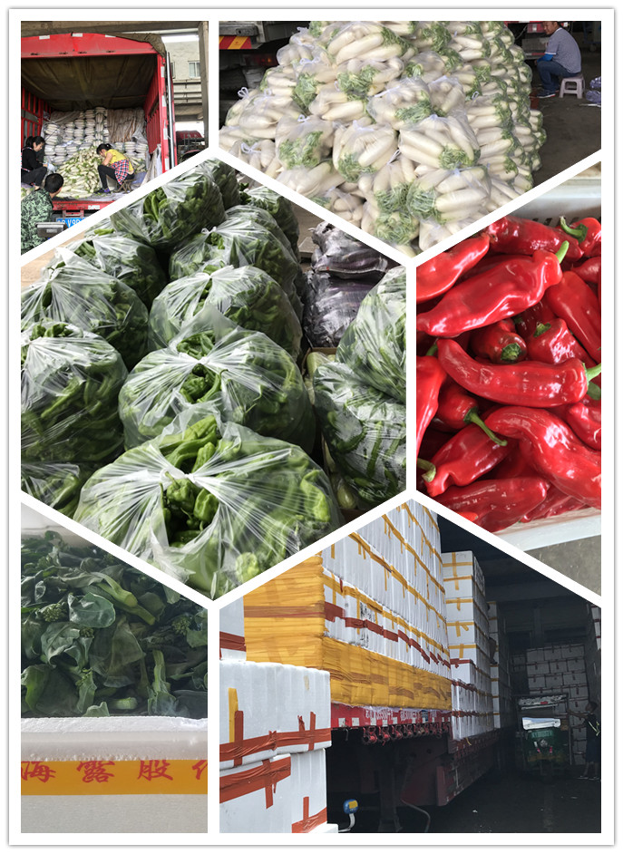 PA视讯(中国)集团官网 - PlayAce