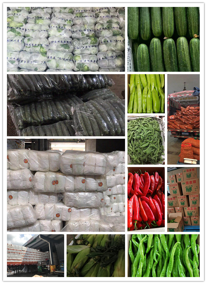 PA视讯(中国)集团官网 - PlayAce