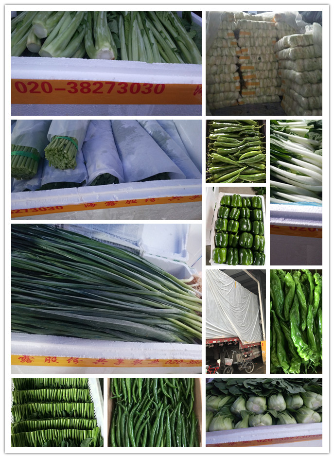 PA视讯(中国)集团官网 - PlayAce