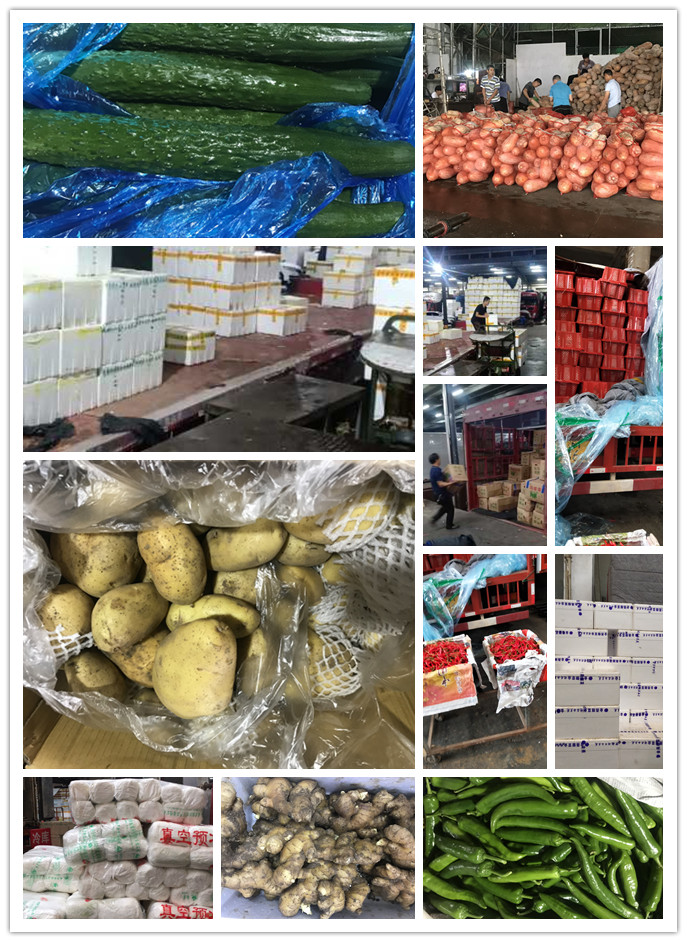 PA视讯(中国)集团官网 - PlayAce