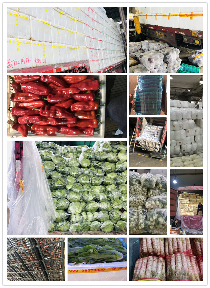 PA视讯(中国)集团官网 - PlayAce