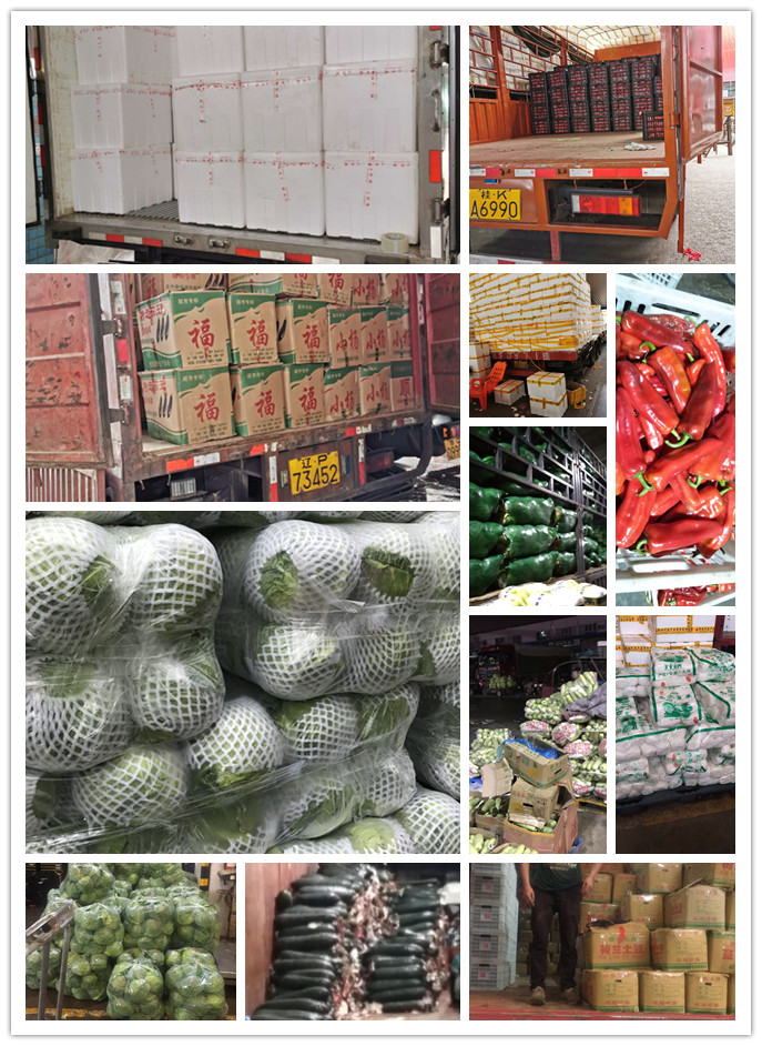 PA视讯(中国)集团官网 - PlayAce