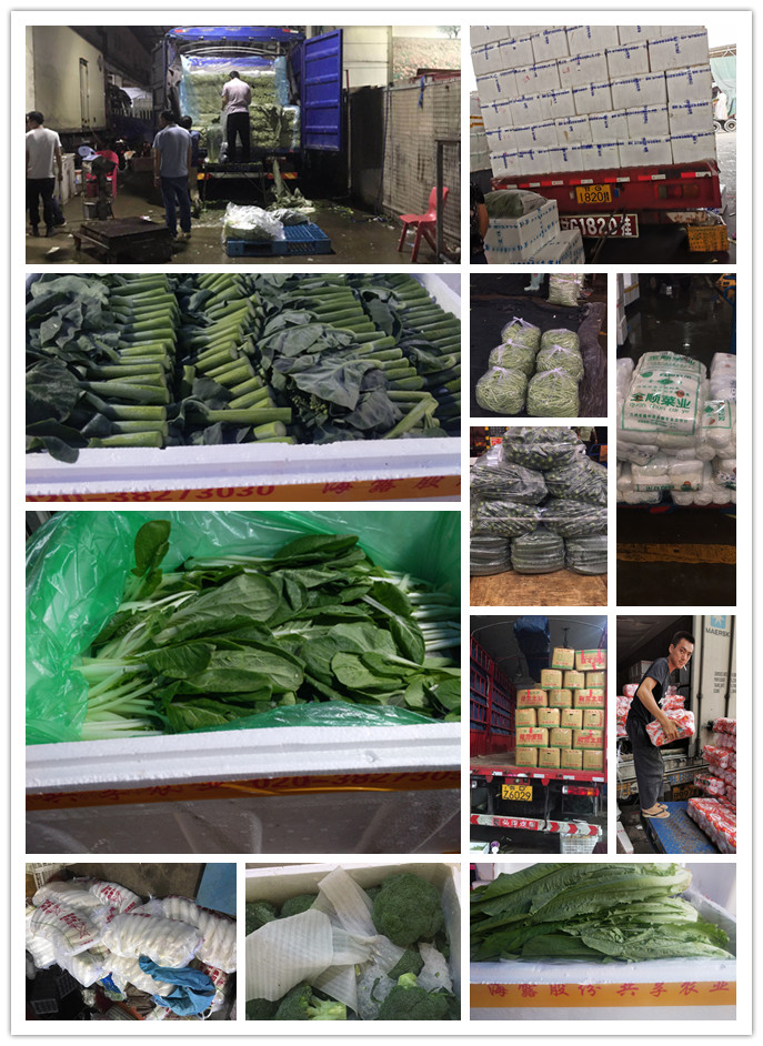 PA视讯(中国)集团官网 - PlayAce