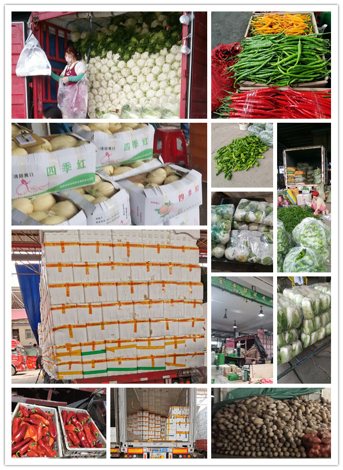 PA视讯(中国)集团官网 - PlayAce