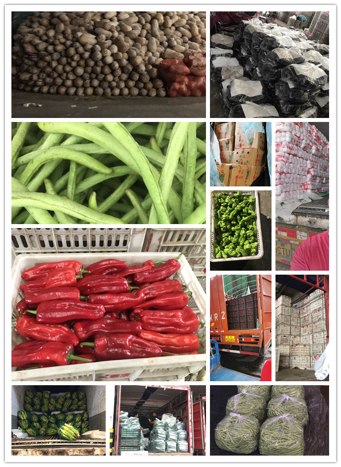 PA视讯(中国)集团官网 - PlayAce