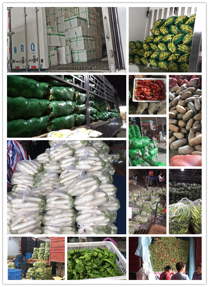 PA视讯(中国)集团官网 - PlayAce