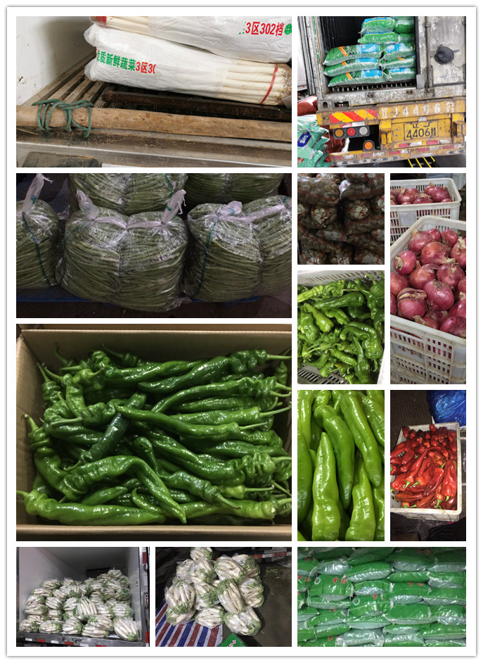 PA视讯(中国)集团官网 - PlayAce