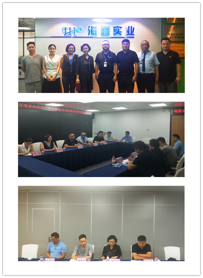 PA视讯(中国)集团官网 - PlayAce