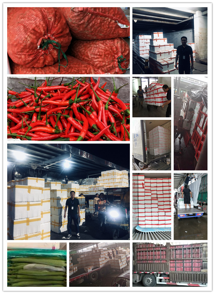 PA视讯(中国)集团官网 - PlayAce