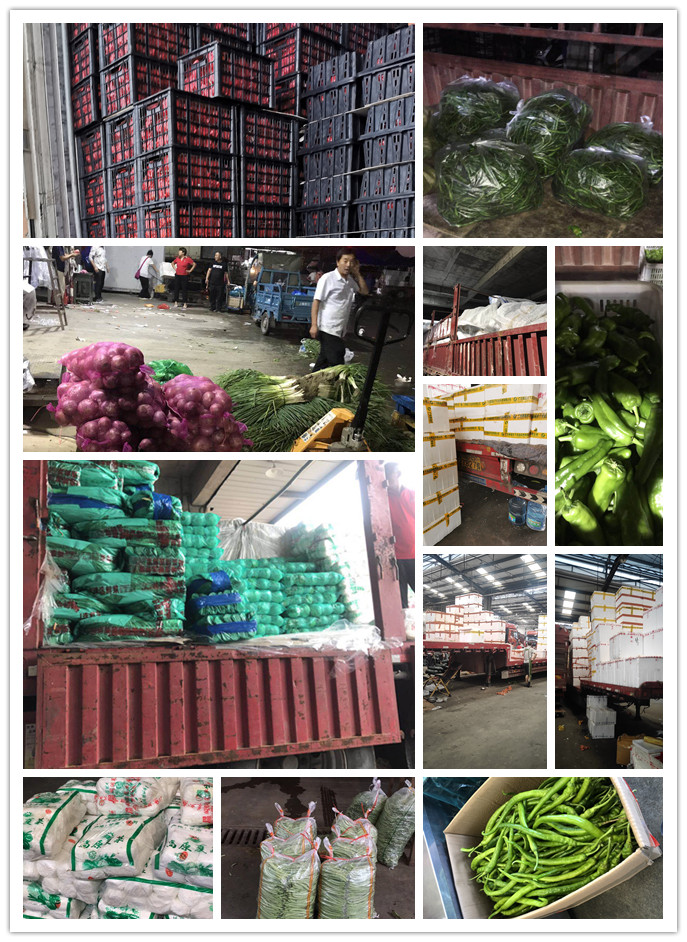 PA视讯(中国)集团官网 - PlayAce