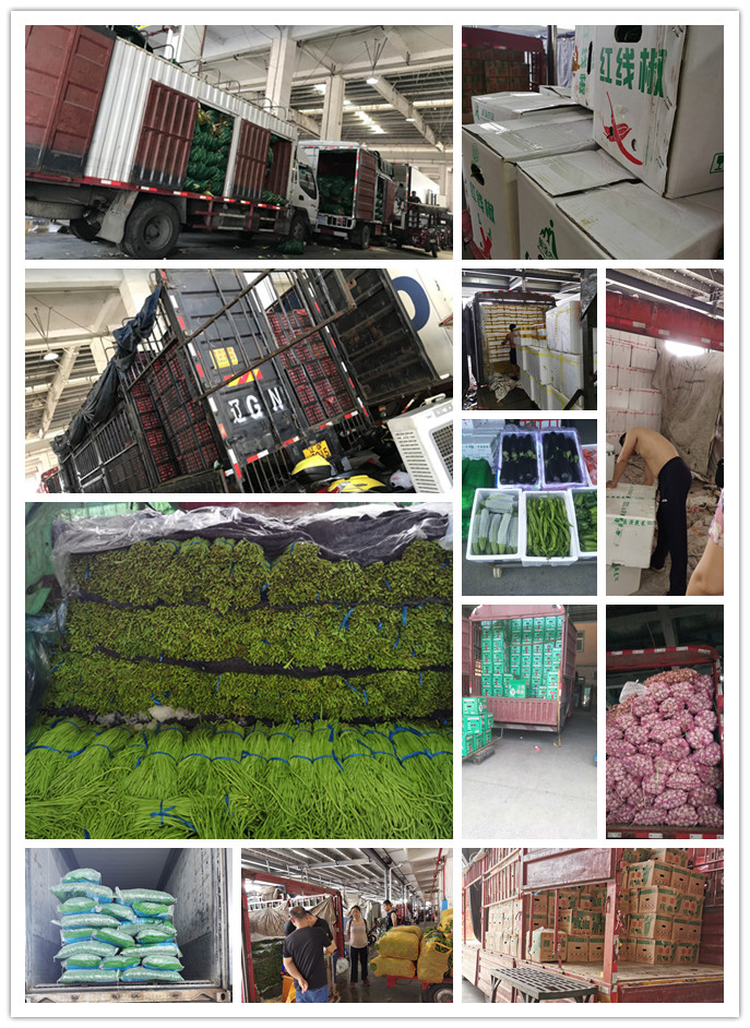 PA视讯(中国)集团官网 - PlayAce