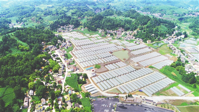 PA视讯(中国)集团官网 - PlayAce